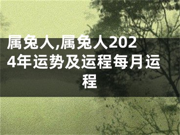 属兔人,属兔人2024年运势及运程每月运程