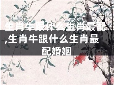 生肖牛跟什么生肖最配,生肖牛跟什么生肖最配婚姻