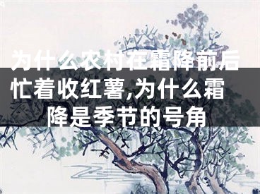 为什么农村在霜降前后忙着收红薯,为什么霜降是季节的号角