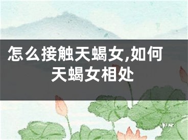 怎么接触天蝎女,如何天蝎女相处