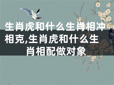 生肖虎和什么生肖相冲相克,生肖虎和什么生肖相配做对象