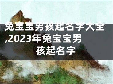 兔宝宝男孩起名字大全,2023年兔宝宝男孩起名字