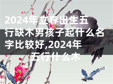 2024年立春出生五行缺木男孩子起什么名字比较好,2024年五行什么木