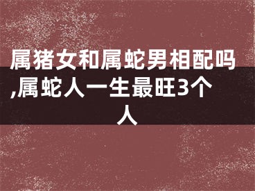属猪女和属蛇男相配吗,属蛇人一生最旺3个人