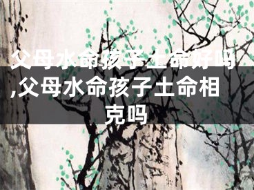 父母水命孩子土命好吗,父母水命孩子土命相克吗