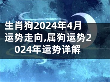 生肖狗2024年4月运势走向,属狗运势2024年运势详解