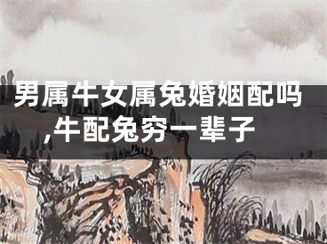 男属牛女属兔婚姻配吗,牛配兔穷一辈子