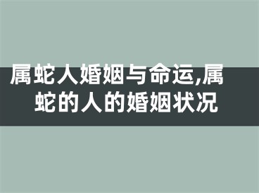 属蛇人婚姻与命运,属蛇的人的婚姻状况