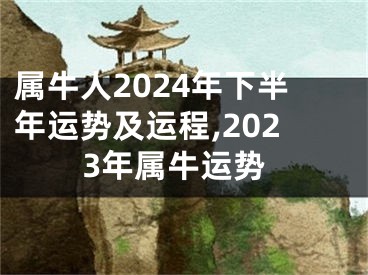 属牛人2024年下半年运势及运程,2023年属牛运势