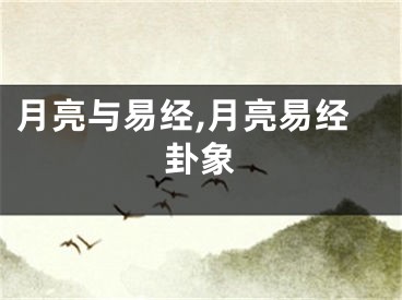 月亮与易经,月亮易经卦象