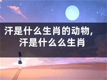 汗是什么生肖的动物,汗是什么么生肖