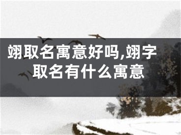翊取名寓意好吗,翊字取名有什么寓意