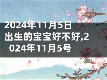 2024年11月5日出生的宝宝好不好,2024年11月5号