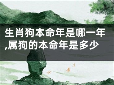 生肖狗本命年是哪一年,属狗的本命年是多少