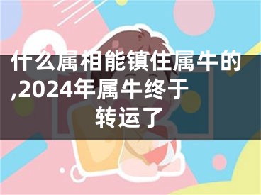 什么属相能镇住属牛的,2024年属牛终于转运了