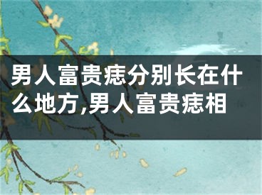 男人富贵痣分别长在什么地方,男人富贵痣相