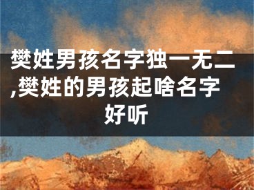 樊姓男孩名字独一无二,樊姓的男孩起啥名字好听