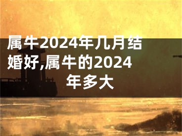属牛2024年几月结婚好,属牛的2024年多大