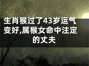 生肖猴过了43岁运气变好,属猴女命中注定的丈夫