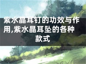 紫水晶耳钉的功效与作用,紫水晶耳坠的各种款式