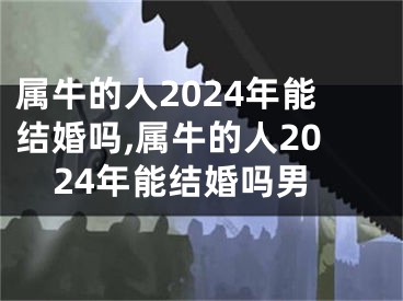属牛的人2024年能结婚吗,属牛的人2024年能结婚吗男