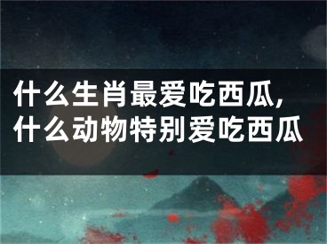 什么生肖最爱吃西瓜,什么动物特别爱吃西瓜