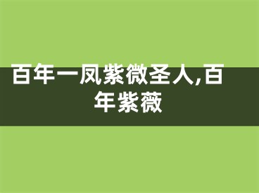 百年一凤紫微圣人,百年紫薇