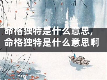 命格独特是什么意思,命格独特是什么意思啊