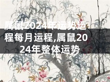 属鼠2024年运势运程每月运程,属鼠2024年整体运势