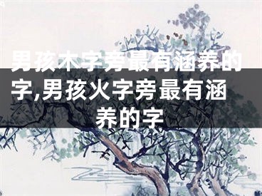 男孩木字旁最有涵养的字,男孩火字旁最有涵养的字