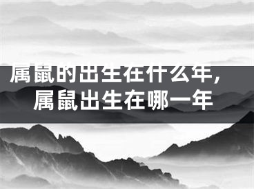 属鼠的出生在什么年,属鼠出生在哪一年