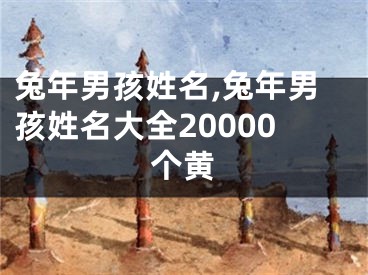兔年男孩姓名,兔年男孩姓名大全20000个黄