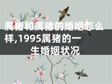 属猪和属猪的婚姻怎么样,1995属猪的一生婚姻状况