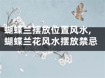 蝴蝶兰摆放位置风水,蝴蝶兰花风水摆放禁忌