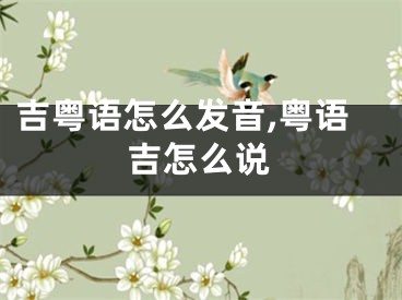 吉粤语怎么发音,粤语吉怎么说