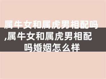 属牛女和属虎男相配吗,属牛女和属虎男相配吗婚姻怎么样