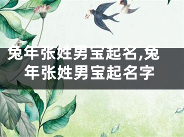 兔年张姓男宝起名,兔年张姓男宝起名字