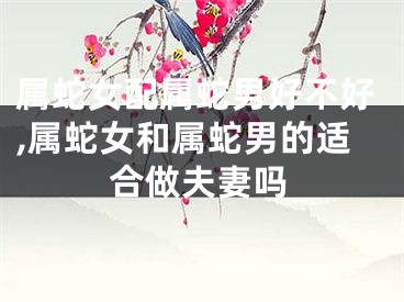 属蛇女配属蛇男好不好,属蛇女和属蛇男的适合做夫妻吗