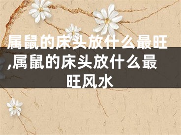 属鼠的床头放什么最旺,属鼠的床头放什么最旺风水