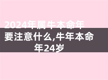 2024年属牛本命年要注意什么,牛年本命年24岁
