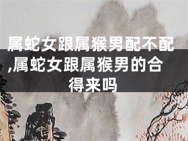 属蛇女跟属猴男配不配,属蛇女跟属猴男的合得来吗