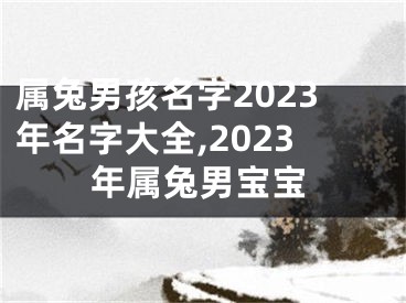 属兔男孩名字2023年名字大全,2023年属兔男宝宝