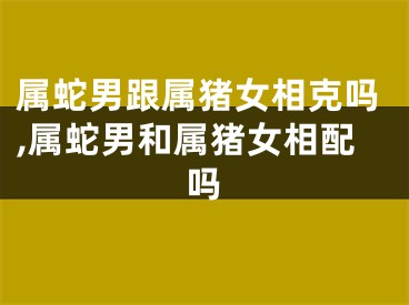 属蛇男跟属猪女相克吗,属蛇男和属猪女相配吗