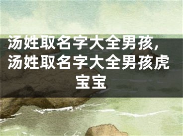 汤姓取名字大全男孩,汤姓取名字大全男孩虎宝宝