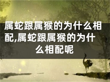 属蛇跟属猴的为什么相配,属蛇跟属猴的为什么相配呢