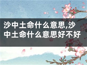 沙中土命什么意思,沙中土命什么意思好不好