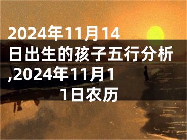 2024年11月14日出生的孩子五行分析,2024年11月11日农历