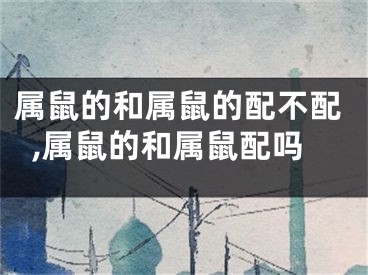 属鼠的和属鼠的配不配,属鼠的和属鼠配吗