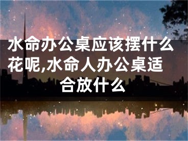 水命办公桌应该摆什么花呢,水命人办公桌适合放什么