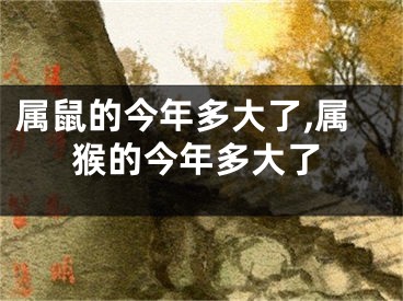 属鼠的今年多大了,属猴的今年多大了